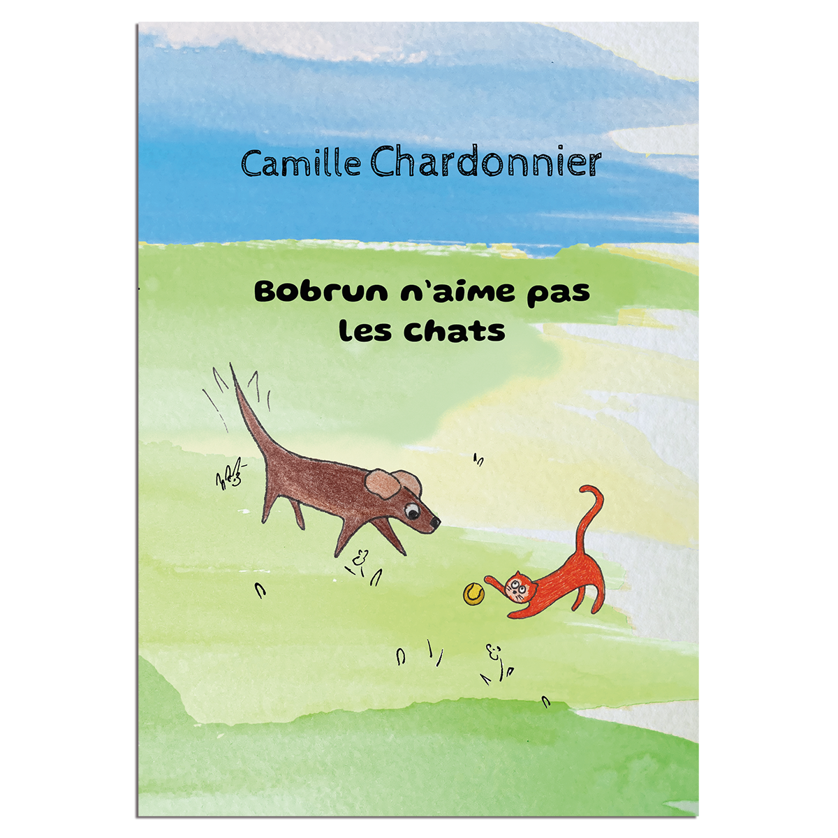 Bobrun n'aime pas les chats